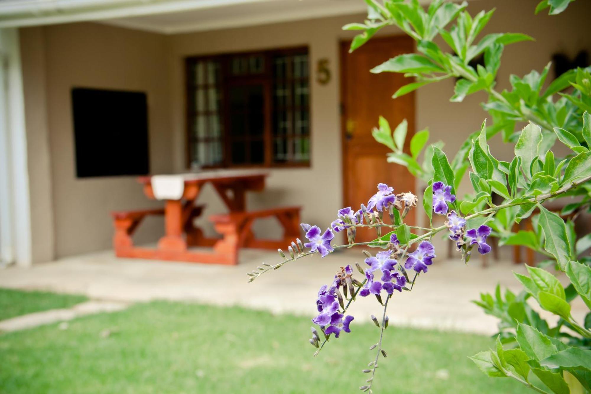 De Old Drift Guest Farm Addo Quarto foto