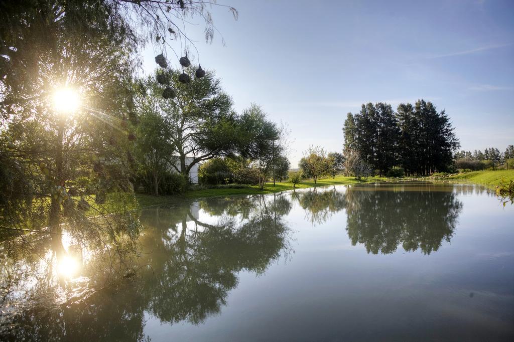 De Old Drift Guest Farm Addo Exterior foto