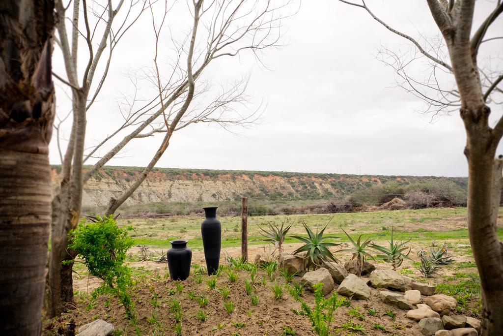 De Old Drift Guest Farm Addo Exterior foto