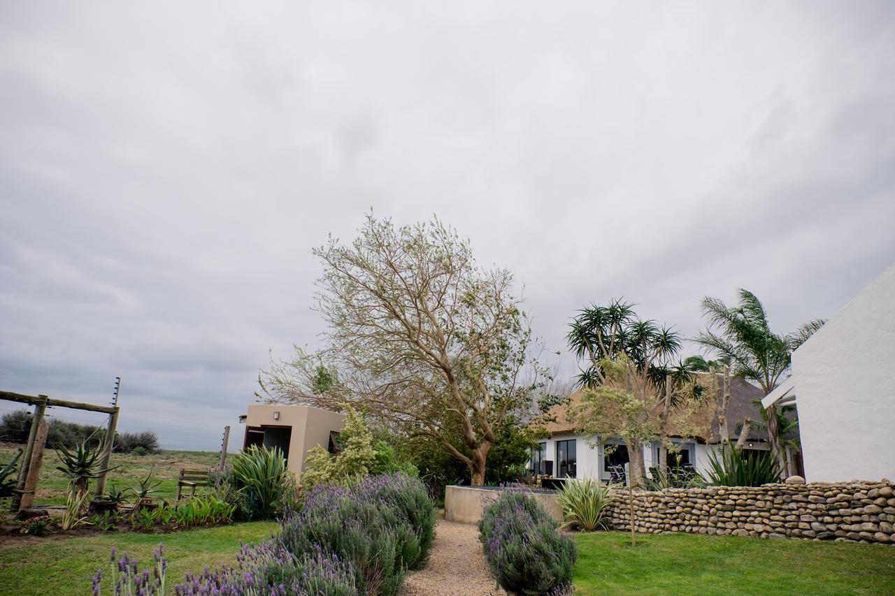De Old Drift Guest Farm Addo Exterior foto