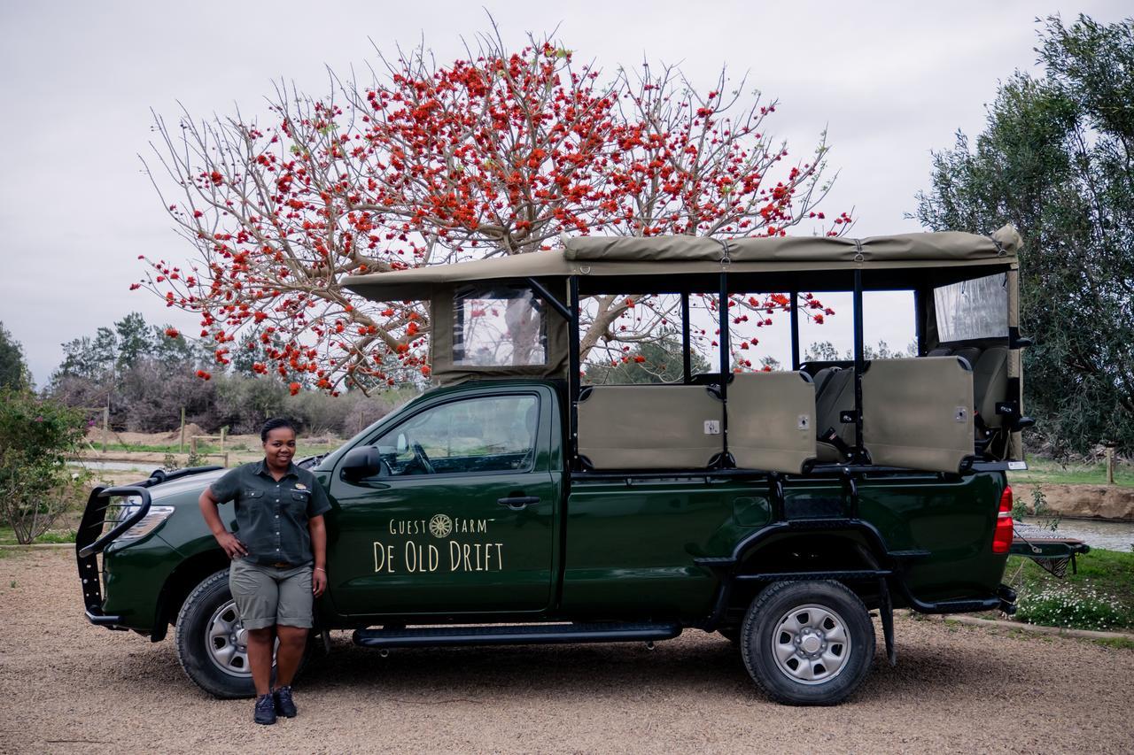De Old Drift Guest Farm Addo Exterior foto